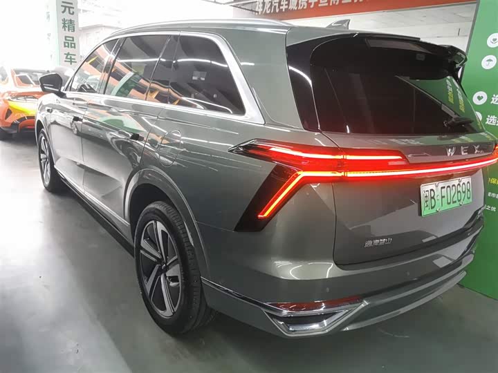 Фото 5 - Wey Lanshan