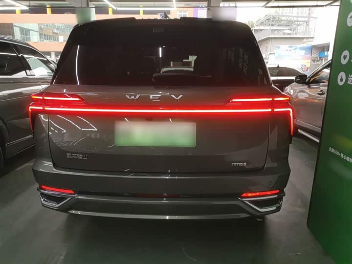 Фото 6 - Wey Lanshan