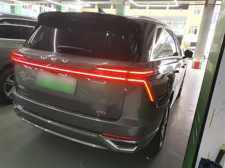 Фото 7 - Wey Lanshan