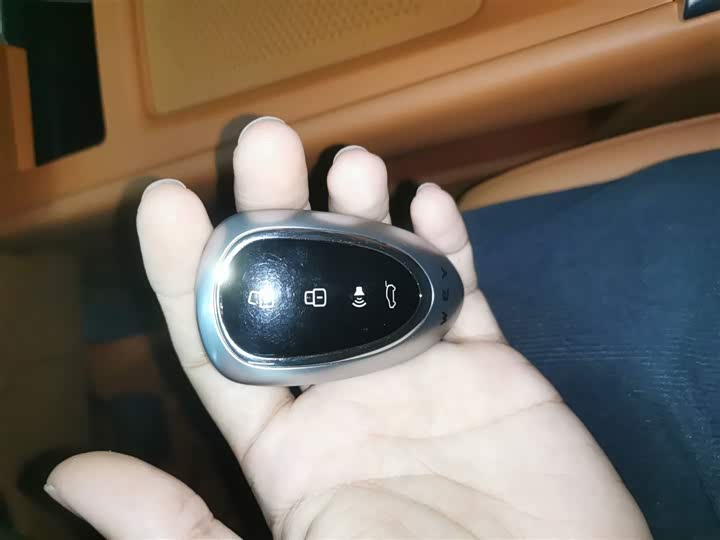 Фото 9 - Wey Lanshan