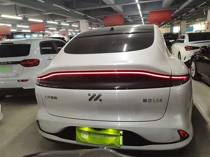 Фото 6 - IM motors LS6