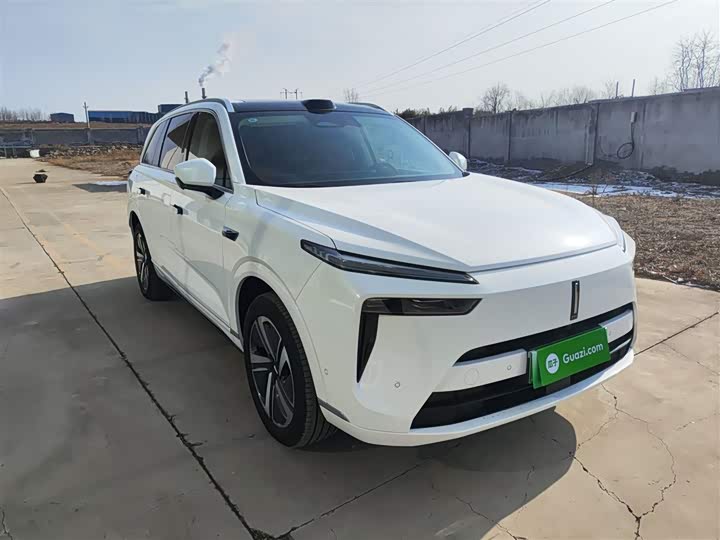 Фото 4 - Wey Lanshan