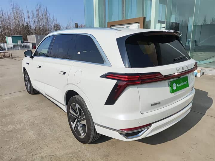 Фото 5 - Wey Lanshan