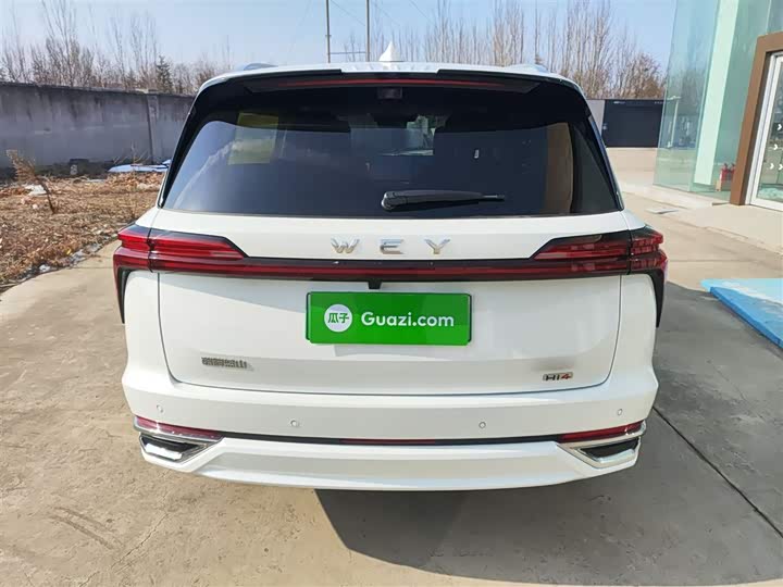 Фото 6 - Wey Lanshan