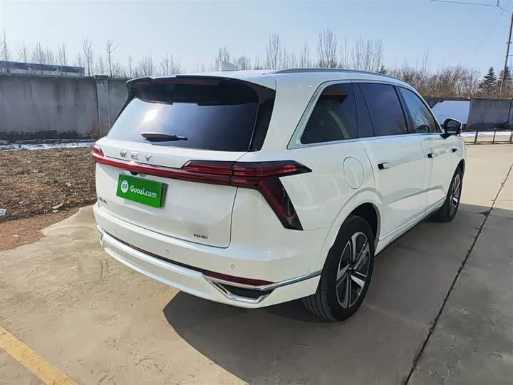 Фото 7 - Wey Lanshan