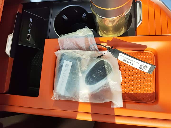 Фото 9 - Wey Lanshan