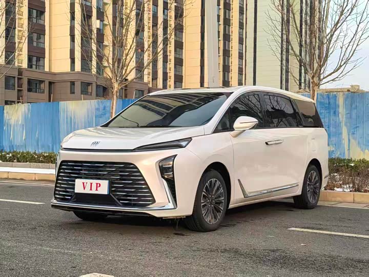 Фото 1 - Buick GL8 ES