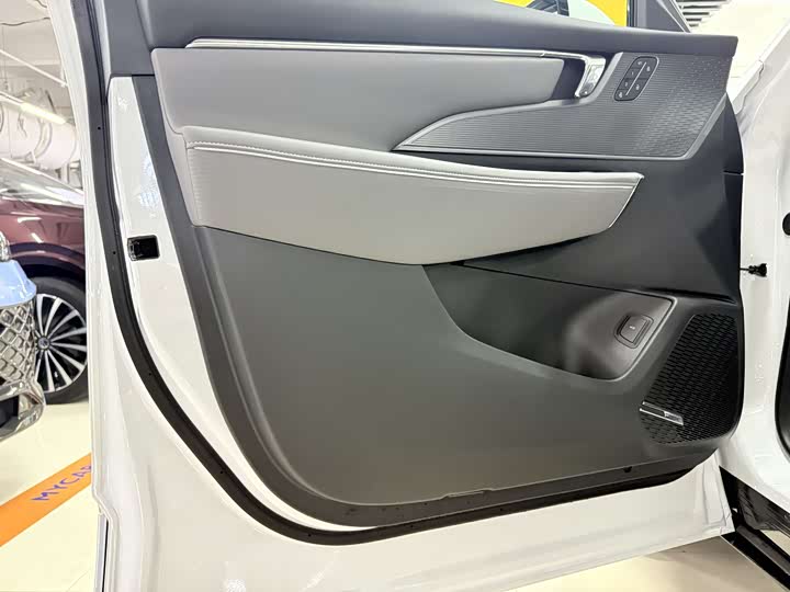 Фото 7 - Buick Electra E5