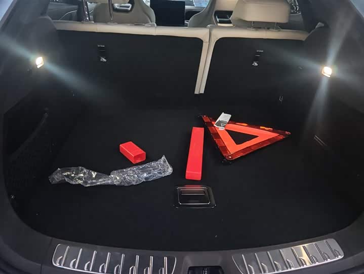 Фото 4 - Denza N7