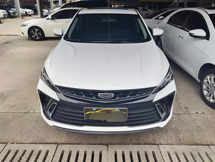 Фото 2 - Geely Binrui