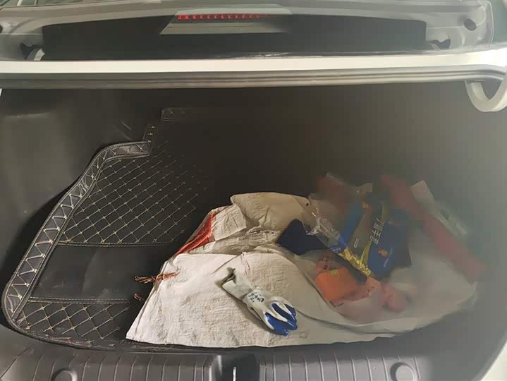 Фото 4 - Geely Binrui