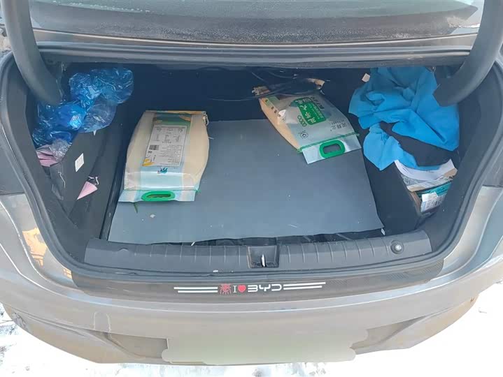 Фото 4 - BYD Qin Plus