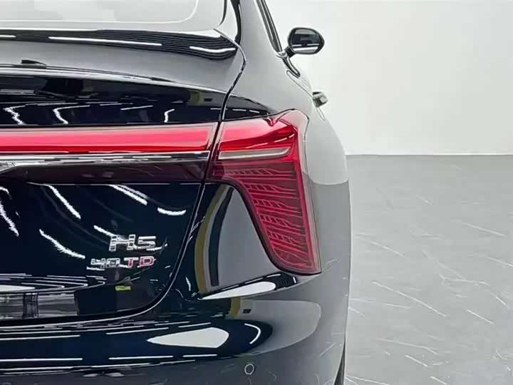 Фото 9 - Hongqi H5