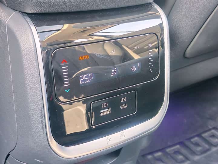 Фото 6 - Hongqi HS7 Hybrid