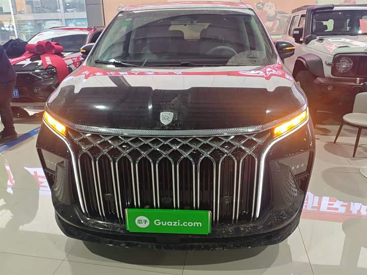 Фото 3 - Dongfeng Forthing Xinghai V9