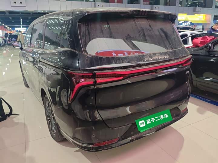 Фото 5 - Dongfeng Forthing Xinghai V9