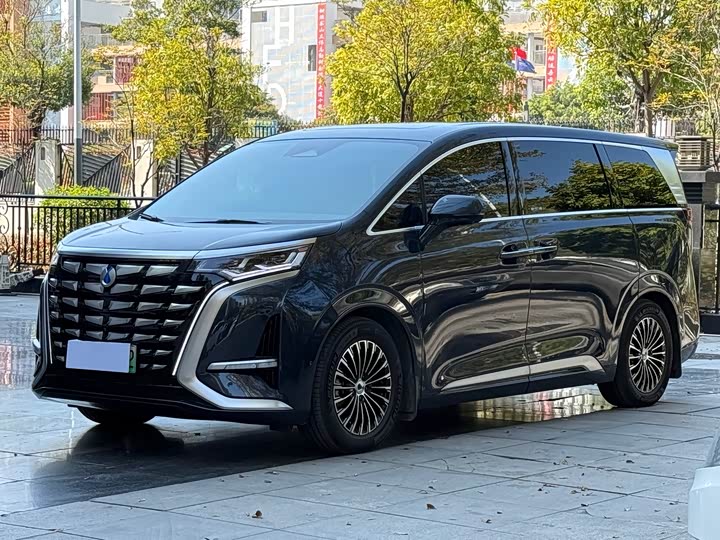 Фото 1 - Denza D9