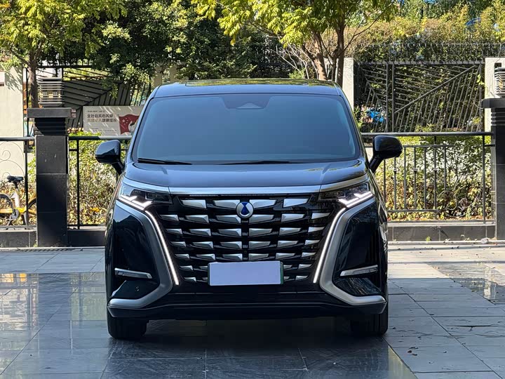 Фото 2 - Denza D9