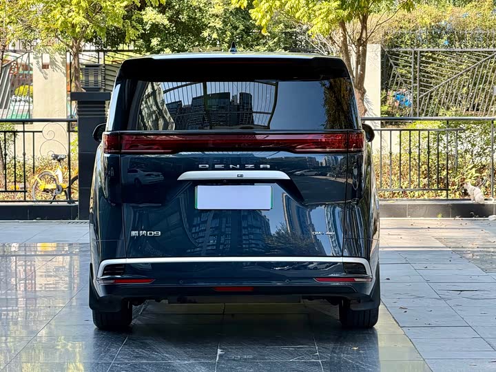 Фото 5 - Denza D9