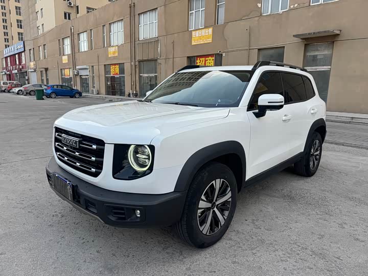 Фото 1 - Haval Dargo