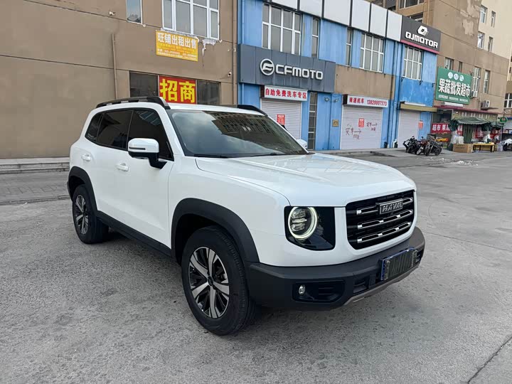 Фото 3 - Haval Dargo
