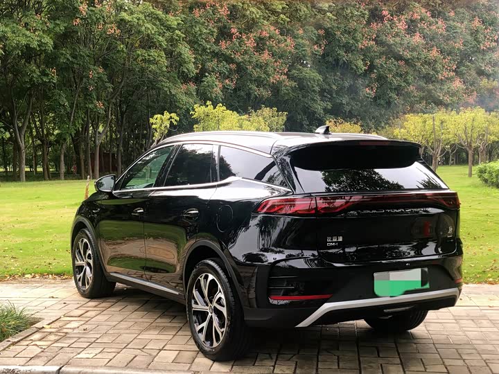 Фото 4 - BYD Tang Hybrid/EV