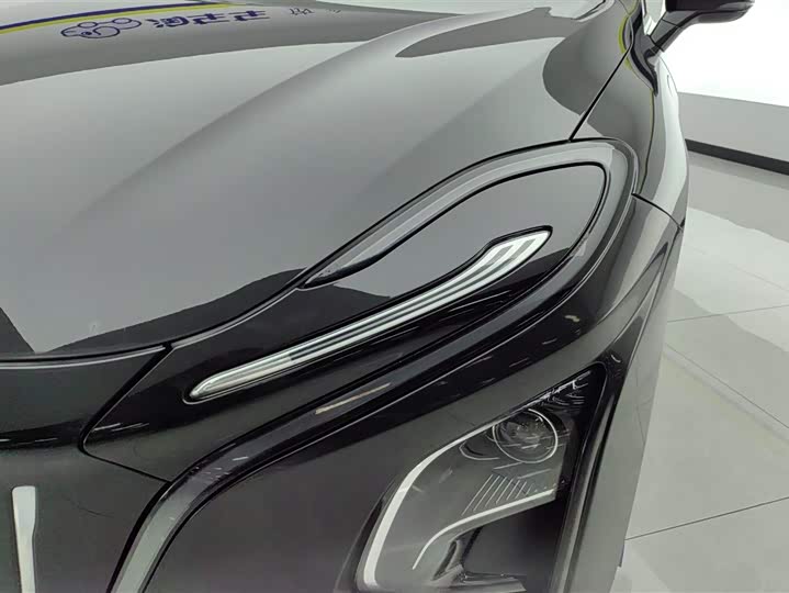 Фото 5 - Hongqi E-QM5