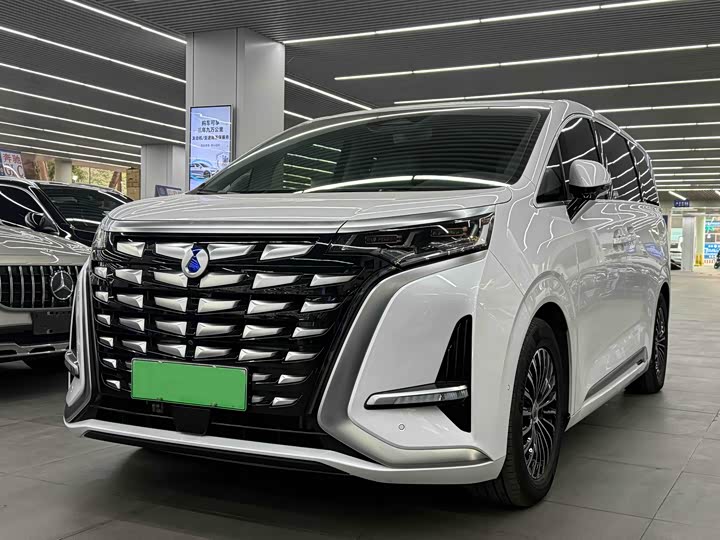 Фото 1 - Denza D9