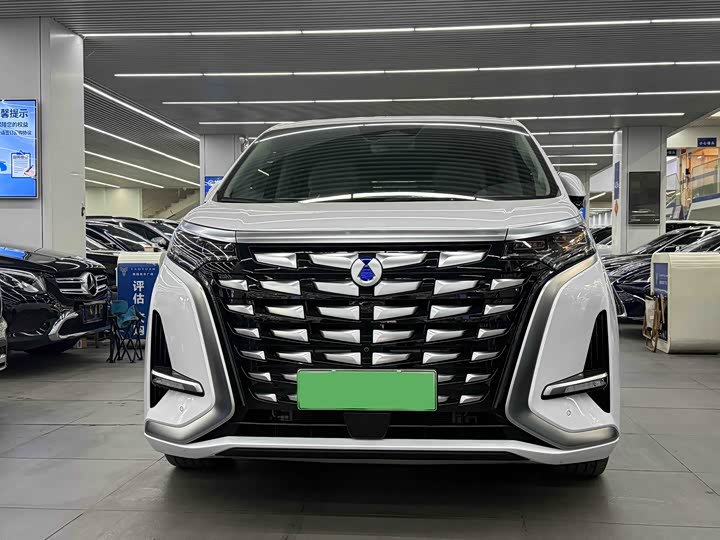 Фото 2 - Denza D9