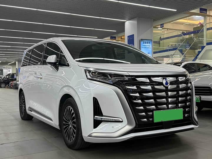 Фото 3 - Denza D9