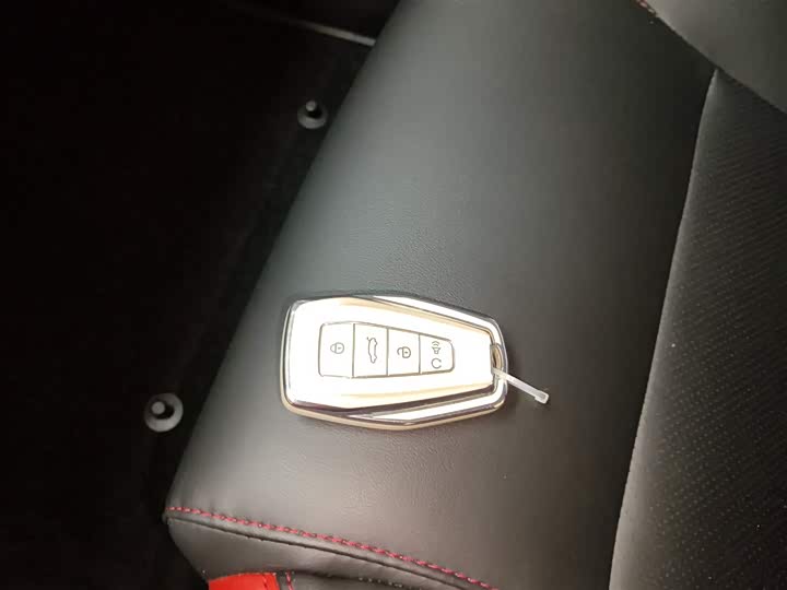 Фото 9 - Geely Binrui