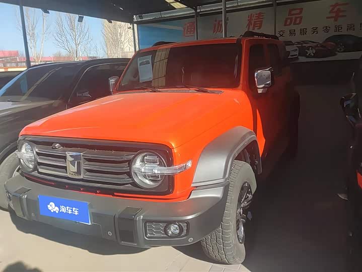 Фото 1 - Tank 300