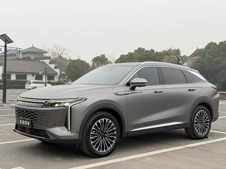 Фото 3 - Exeed RX