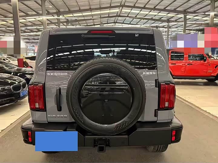 Фото 8 - Tank 300