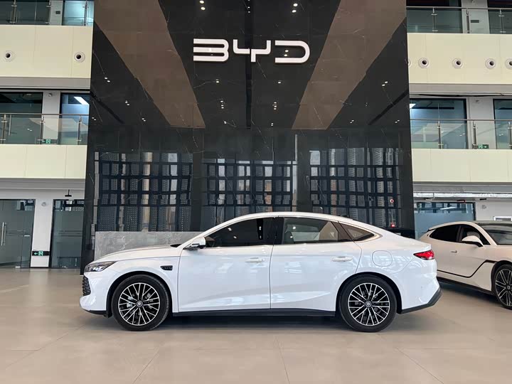 Фото 3 - BYD Qin L