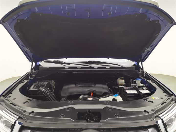 Фото 6 - Great Wall Pao