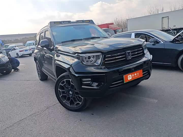 Фото 2 - Tank 700 Hybrid