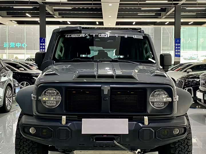 Фото 2 - Tank 300