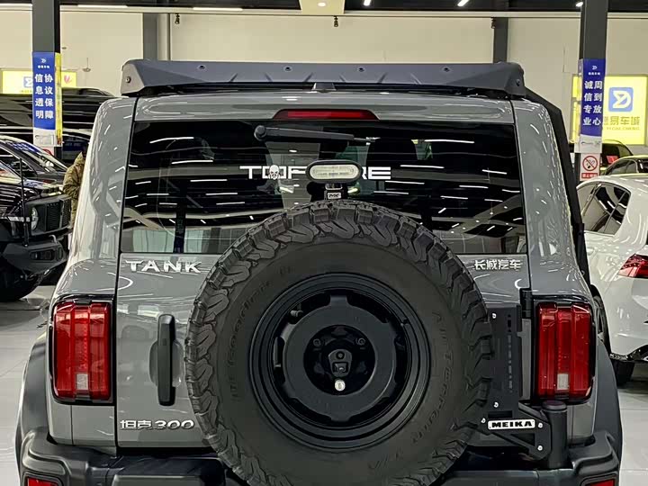 Фото 8 - Tank 300