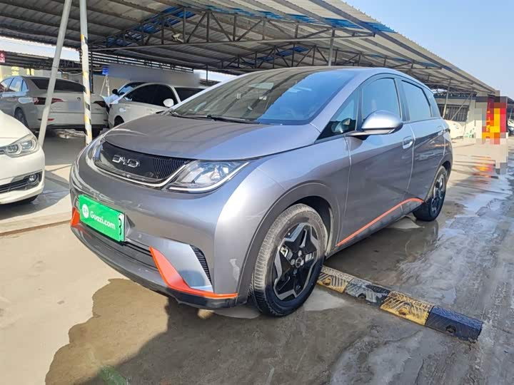 Фото 1 - BYD Dolphin