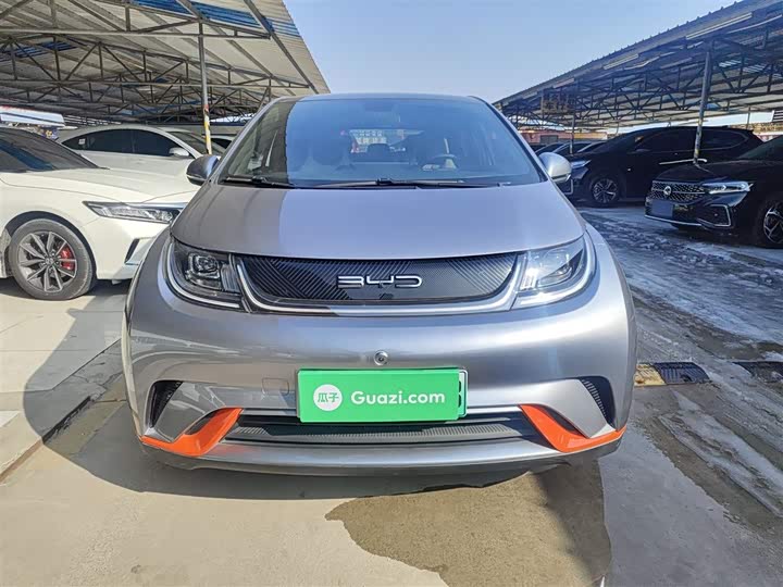 Фото 3 - BYD Dolphin