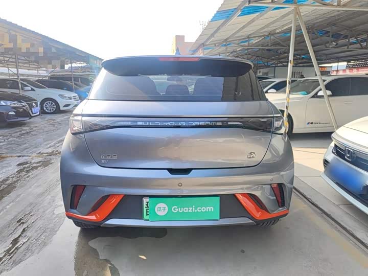 Фото 6 - BYD Dolphin