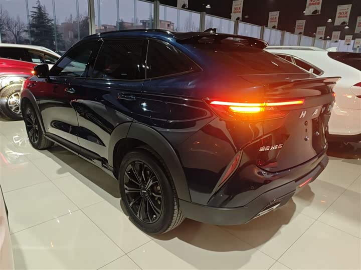 Фото 5 - Haval H6S