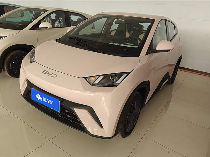 Фото 1 - BYD Seagull