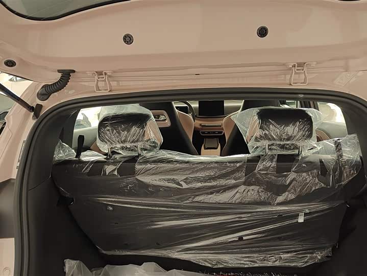 Фото 4 - BYD Seagull