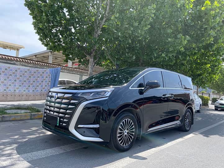 Фото 1 - Denza D9