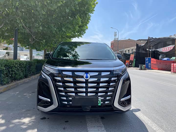 Фото 2 - Denza D9