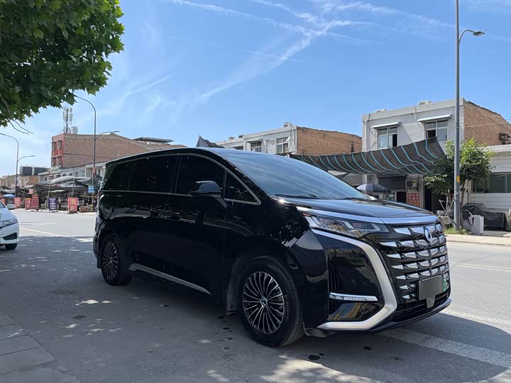 Фото 3 - Denza D9