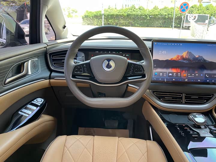 Фото 6 - Denza D9