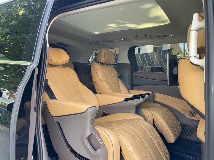 Фото 8 - Denza D9